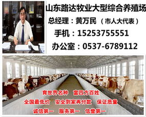 山東肉牛養(yǎng)殖市場(chǎng)動(dòng)態(tài)與自費(fèi)出國留學(xué)中介服務(wù)的對(duì)比分析